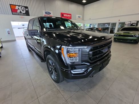 Used 2023 Ford F150 XLT w/ Equipment Group 302A High AWD/4WD image 5