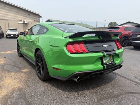 Used 2019 Ford Mustang Premium w/ Equipment Group 201A RWD image 7