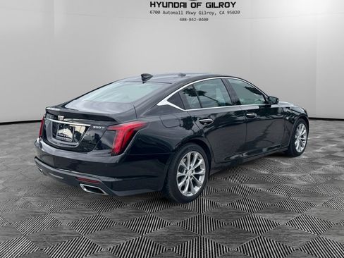 Used 2024 Cadillac CT5 Premium Luxury w/ Climate Package image 5
