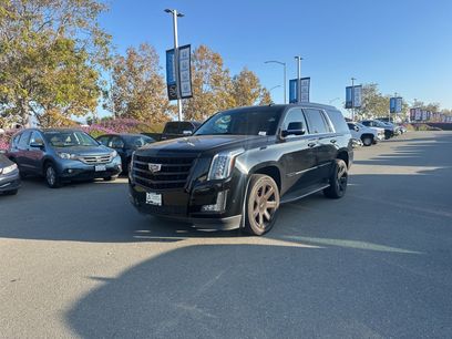 Used 2019 Cadillac Escalade Luxury