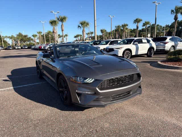 Used 2023 Ford Mustang Premium w/ Mustang Nite Pony Package RWD image 7