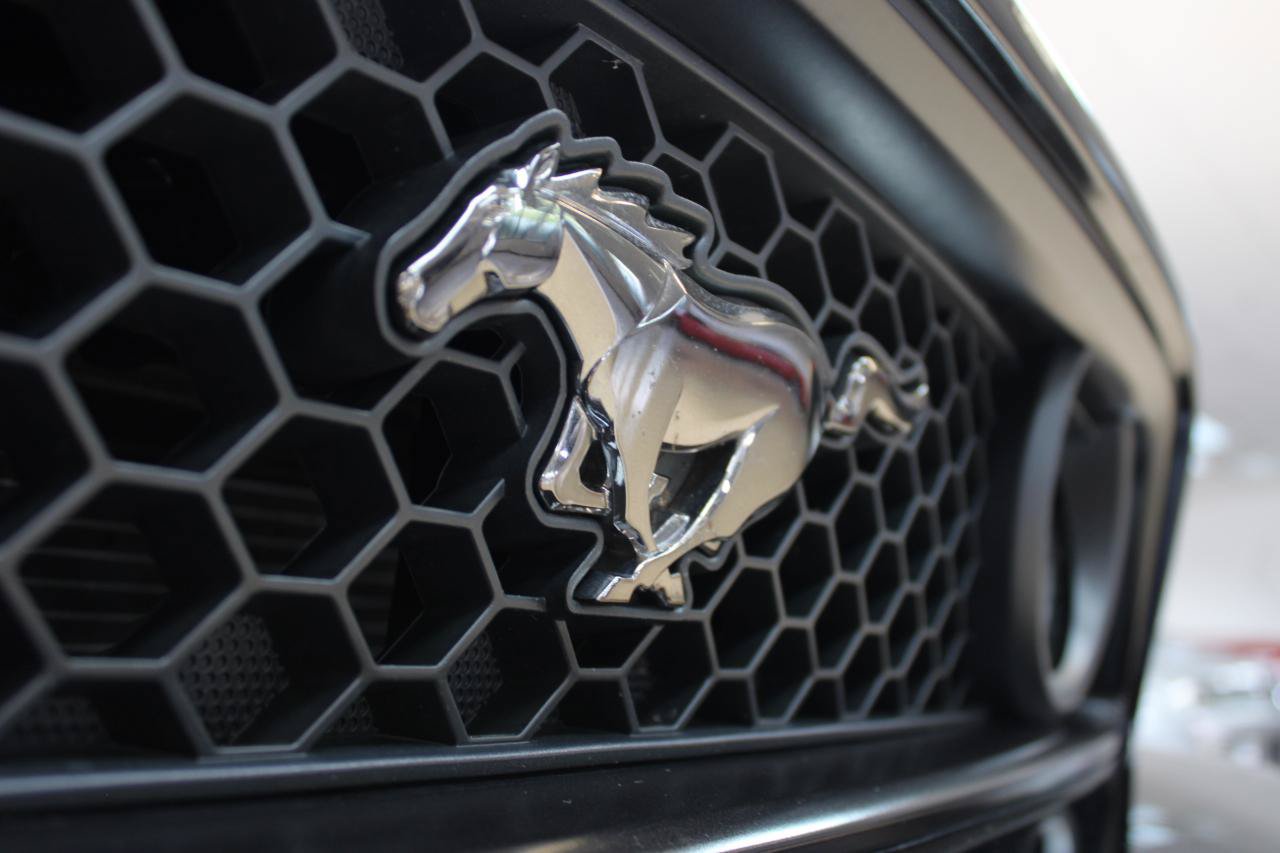 Used 2014 Ford Mustang GT w/ Equipment Group 301A RWD image 17