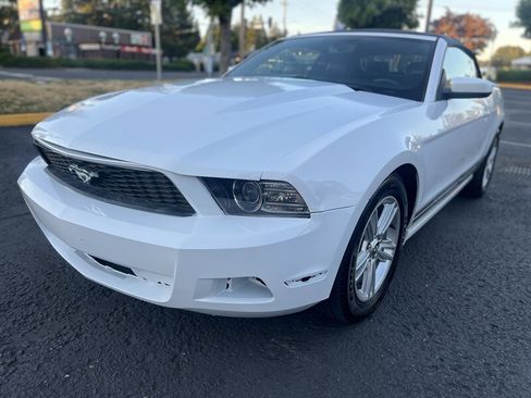 Used 2014 Ford Mustang Premium w/ Equipment Group 201A RWD image 1