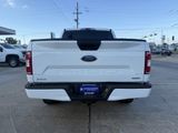 Used 2019 Ford F150 XL w/ Equipment Group 101A Mid image 4