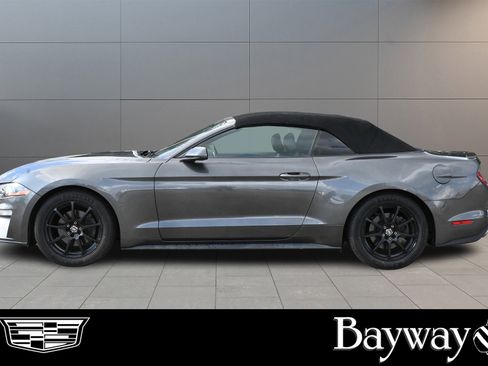 Used 2019 Ford Mustang Premium image 4