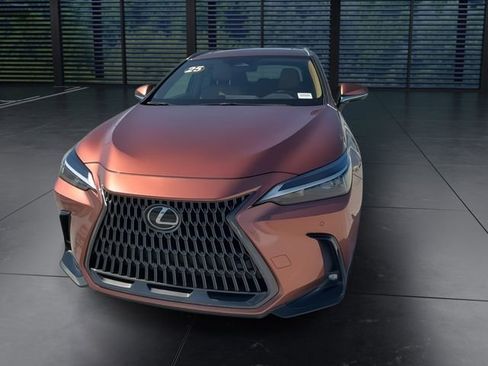 Used 2025 Lexus NX 250 FWD w/ Cold Area Package image 3