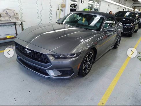 Used 2024 Ford Mustang Premium RWD image 2