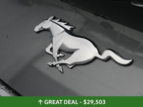 Used 2024 Ford Mustang Premium image 16
