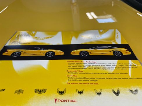 Used 2002 Pontiac Firebird Trans Am image 46