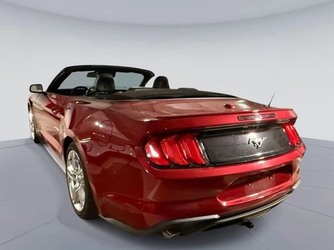 Used 2020 Ford Mustang Premium w/ Equipment Group 201A RWD image 6