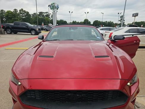 Used 2021 Ford Mustang Premium w/ Equipment Group 201A RWD image 7