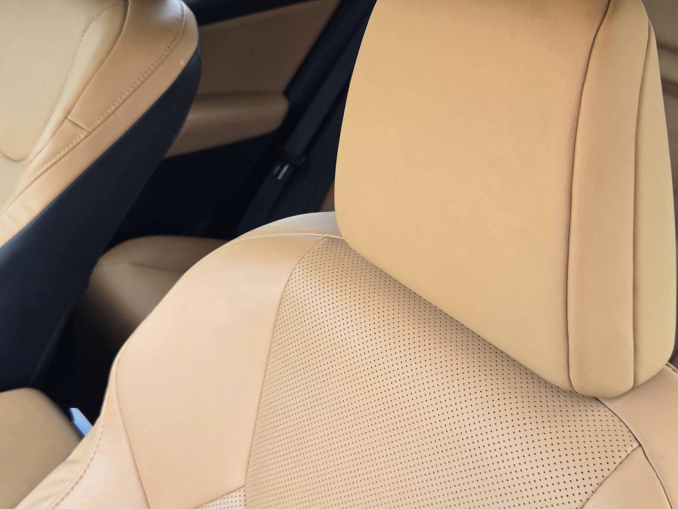 Used 2024 Lexus NX 250 FWD image 20