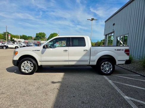 Used 2010 Ford F150 Platinum AWD/4WD image 4
