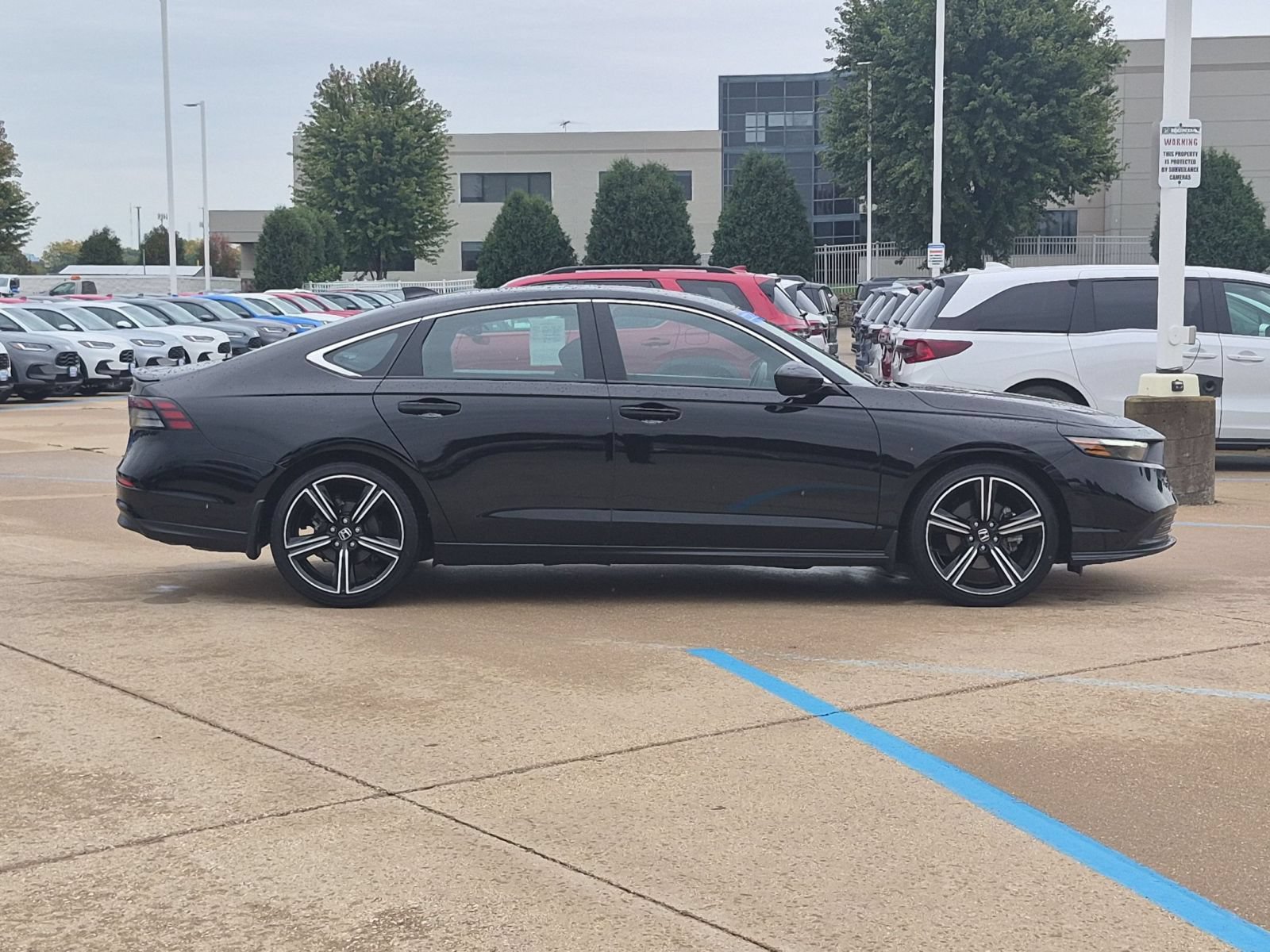 Used 2025 Honda Accord Sport image 5
