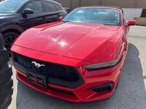 Used 2025 Ford Mustang Premium RWD image 2