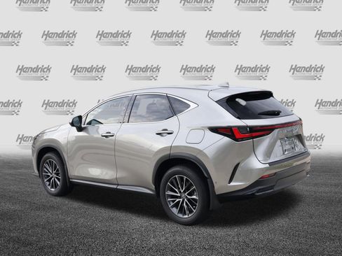 Used 2025 Lexus NX 350h AWD w/ Cold Area Package image 7