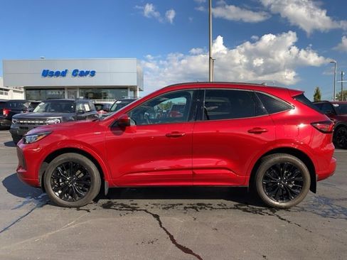 Certified 2024 Ford Escape ST-Line Elite w/ Premium Technology Package image 8