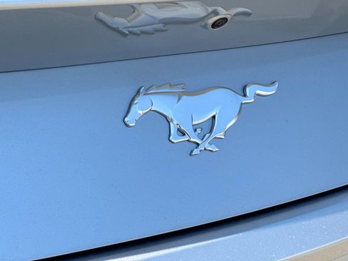 New 2025 Ford Mustang Coupe image 29