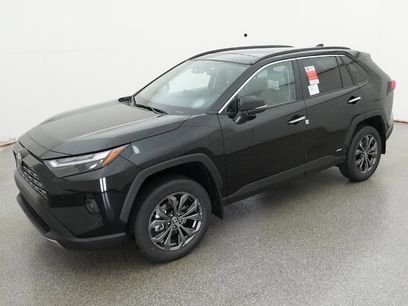 New 2025 Toyota RAV4 Limited