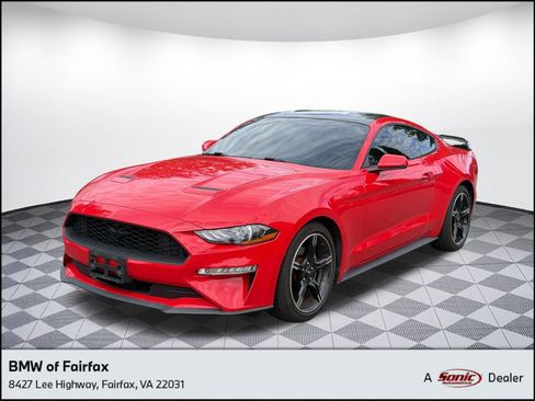 Used 2019 Ford Mustang Premium w/ Equipment Group 201A RWD image 1