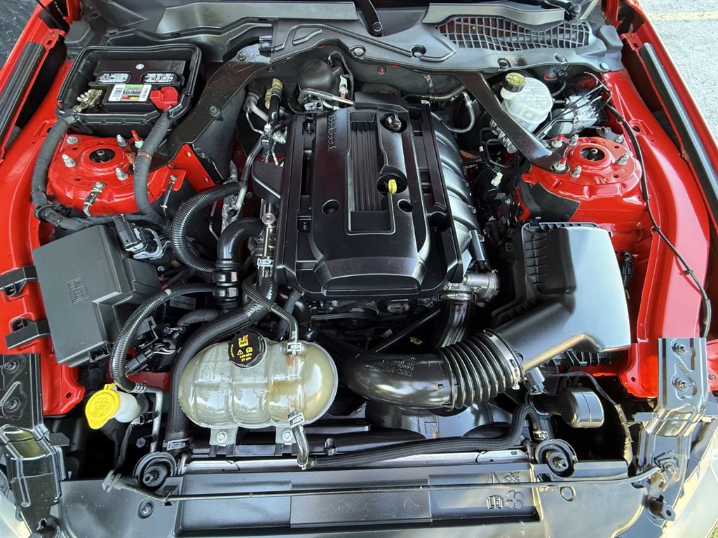 Used 2019 Ford Mustang Convertible RWD image 35