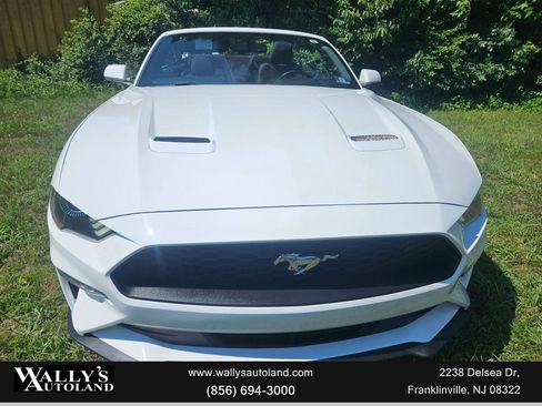 Used 2019 Ford Mustang Convertible image 7