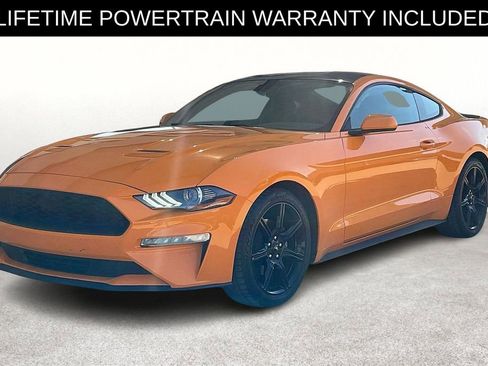Used 2019 Ford Mustang Coupe w/ Equipment Group 101A image 10