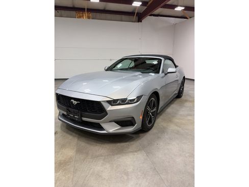 Used 2024 Ford Mustang Premium image 2
