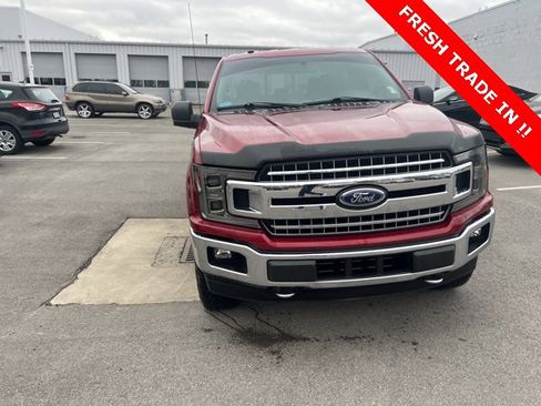 Used 2018 Ford F150 XLT w/ Equipment Group 302A Luxury image 6