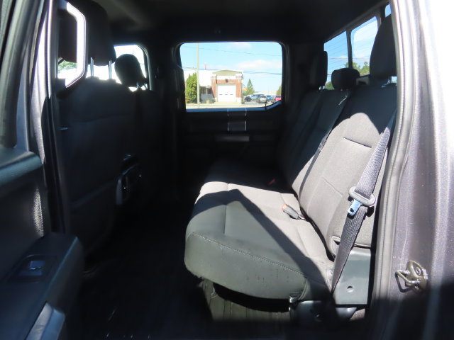 Used 2019 Ford F150 XLT w/ Equipment Group 302A Luxury AWD/4WD image 24