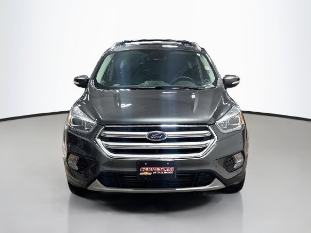 Used 2019 Ford Escape Titanium AWD/4WD image 3