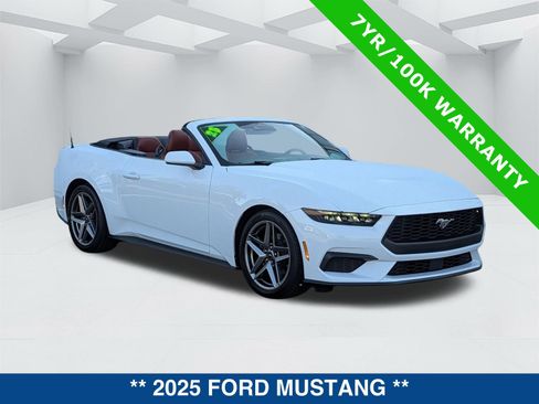Certified 2025 Ford Mustang Premium RWD image 2