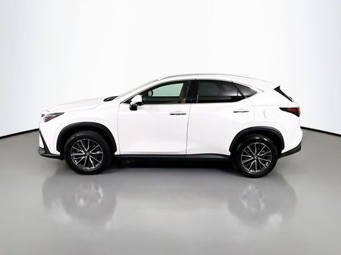Certified 2025 Lexus NX 250 250 Premium image 8