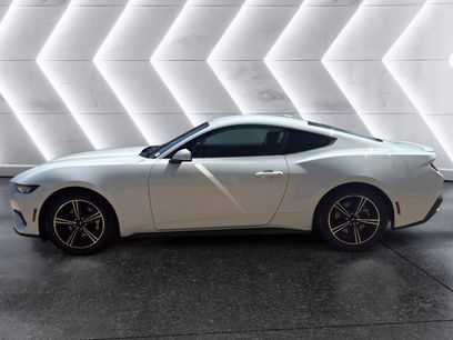 Used 2024 Ford Mustang Premium