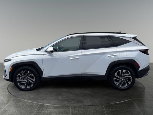 Used 2025 Hyundai Tucson Limited AWD/4WD image 5