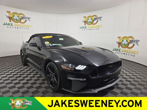 Used 2019 Ford Mustang GT Premium w/ Equipment Group 401A image 1