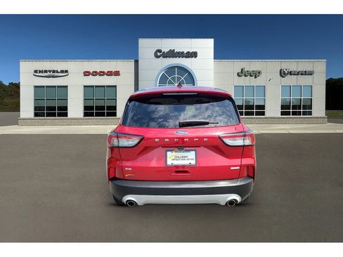 Used 2020 Ford Escape SE FWD image 4