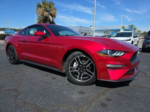 Used 2021 Ford Mustang Coupe w/ Equipment Group 101A image 1