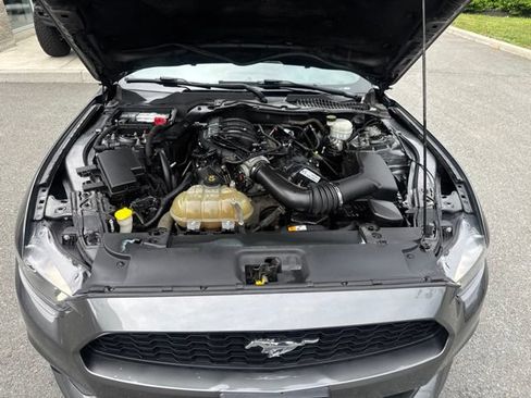 Used 2016 Ford Mustang Coupe w/ Equipment Group 051A RWD image 16