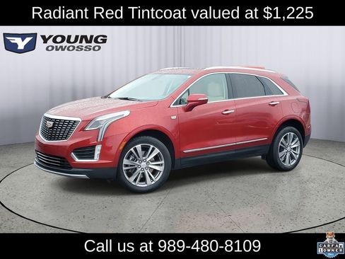 Used 2024 Cadillac XT5 Premium Luxury image 1