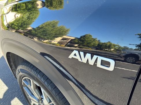 Used 2023 Kia Seltos EX AWD/4WD image 15