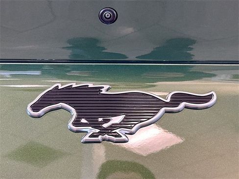 New 2025 Ford Mustang Mach-E Premium w/ Interior Protection Package image 19