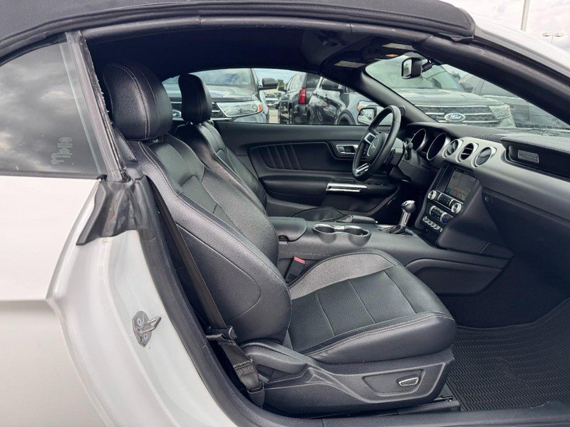 Used 2019 Ford Mustang Premium RWD image 10
