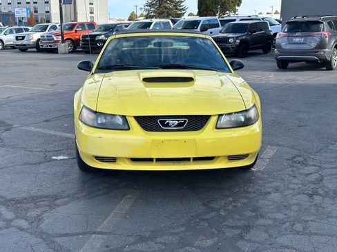 Used 2003 Ford Mustang Convertible image 2