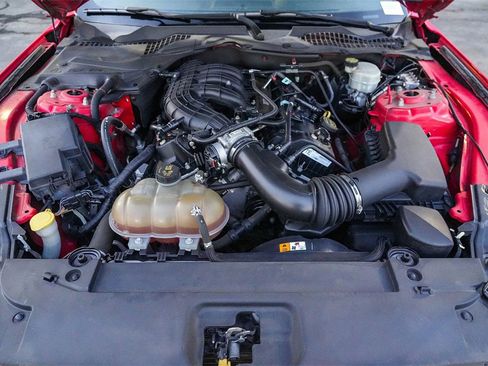 Used 2015 Ford Mustang Coupe w/ Equipment Group 051A image 32