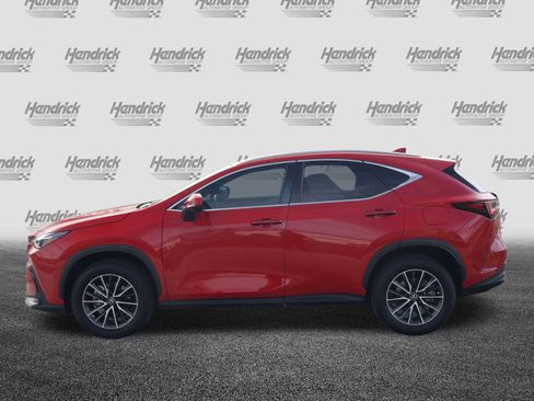 Used 2024 Lexus NX 300h 350h Luxury image 6