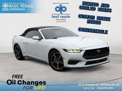 Used 2025 Ford Mustang Premium