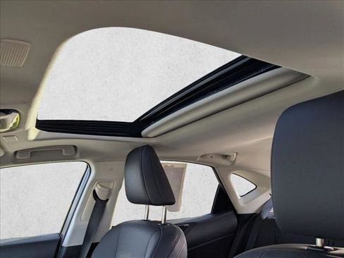 Certified 2026 Lexus NX 350h AWD w/ Cold Area Package image 15