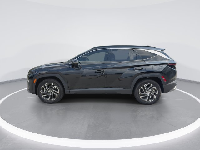 Certified 2025 Hyundai Tucson Limited AWD/4WD image 5