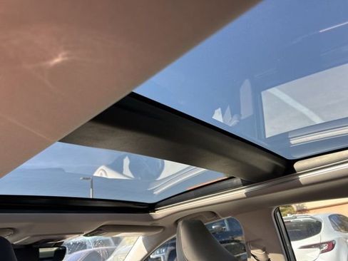 Used 2025 Toyota Camry XLE w/ Premium Plus Package image 10